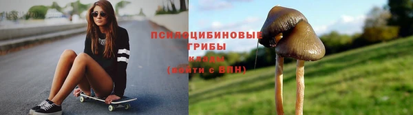 jwh Ладушкин