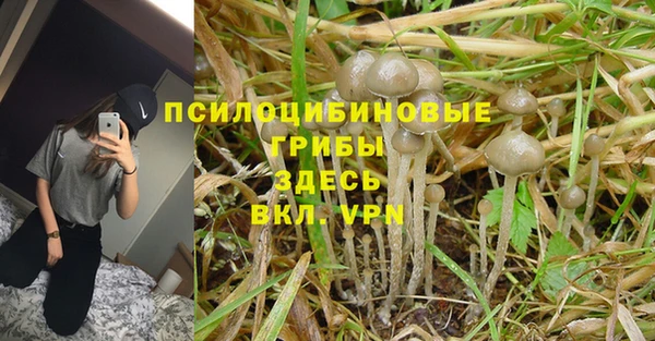 mix Лагань
