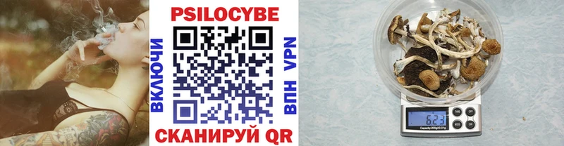 Псилоцибиновые грибы Magic Shrooms  Каспийск 