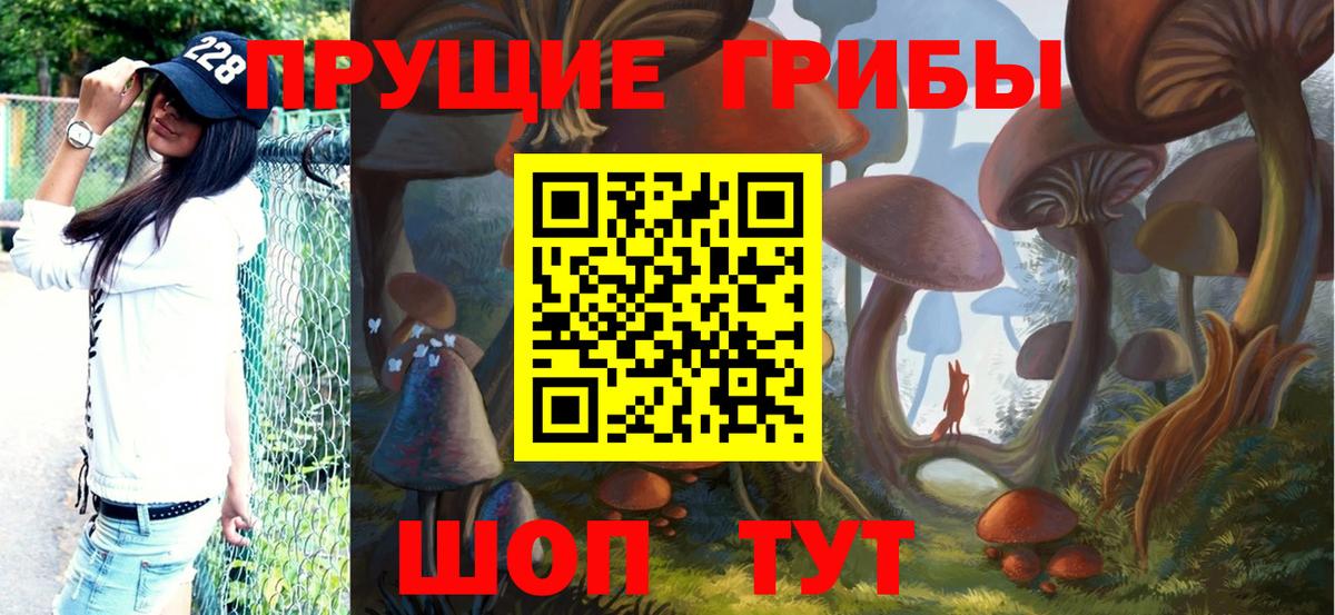 Псилоцибиновые грибы мухоморы Каспийск