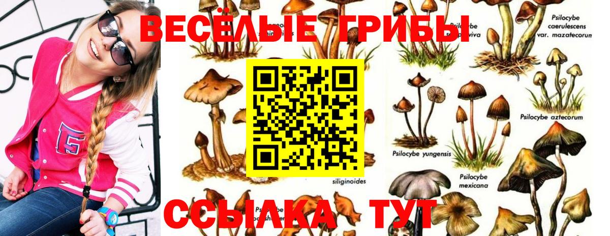 Каспийск  Псилоцибиновые грибы прущие грибы  Галлюциногенные грибы мицелий  Вход с VPN 