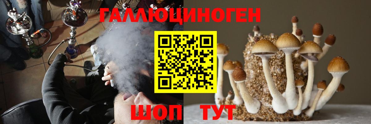 Псилоцибиновые грибы мицелий  Псилоцибиновые грибы MAGIC MUSHROOMS  закладка  Каспийск  Вход с VPN 