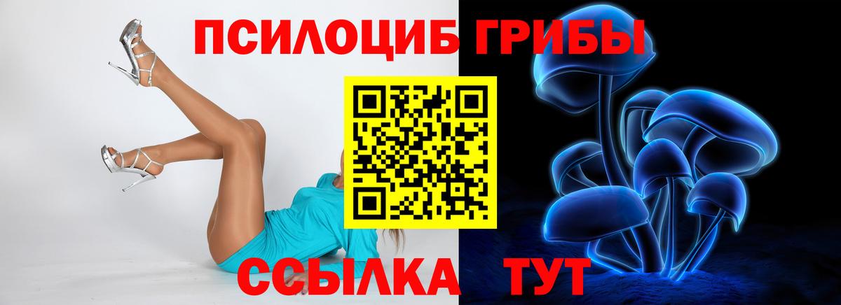 Псилоцибиновые грибы Psilocybe Каспийск